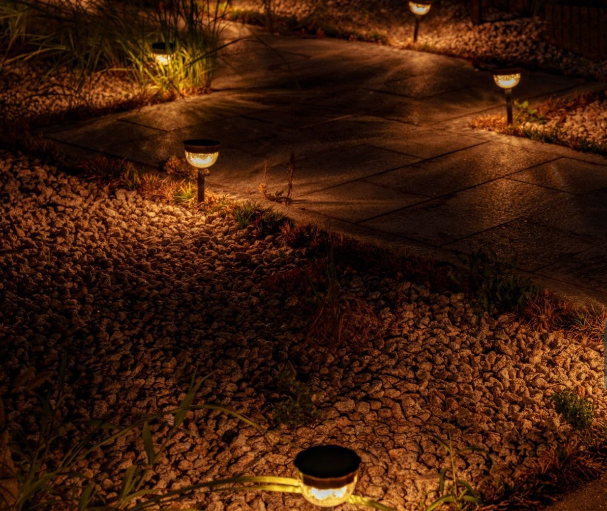 backyard lighting