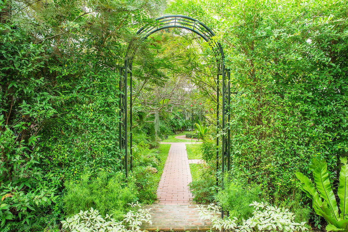 Four Uses of Attractive Metal Trellis Designs