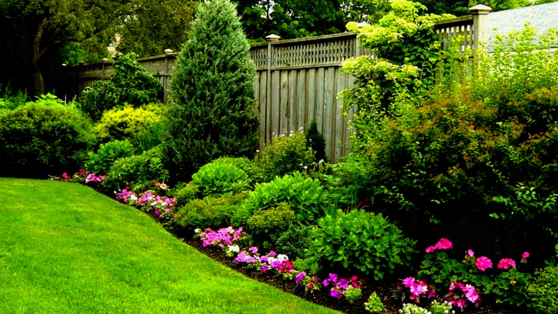 3 ways a Trellis Privacy Screen can enhance your home