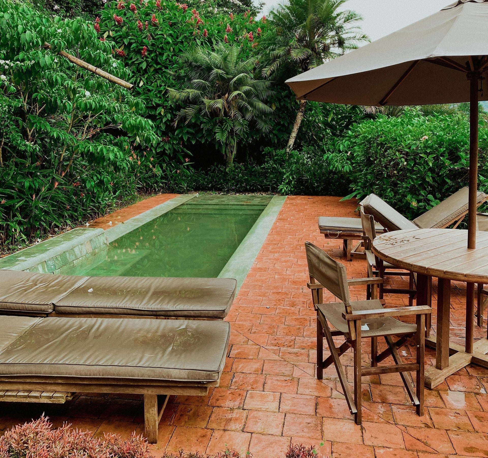 landscaping for privacy