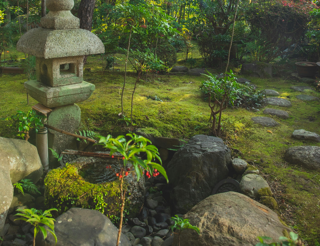 Rock Your Garden: The Ultimate Guide to Stunning Stone Landscaping in Your Backyard