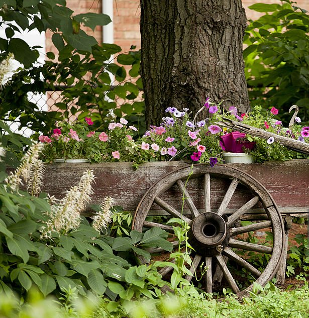 Rustic Garden