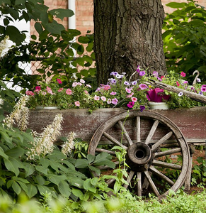 How to Create a Rustic Garden Oasis: A Guide to Charm, Character, and Climbing Vines