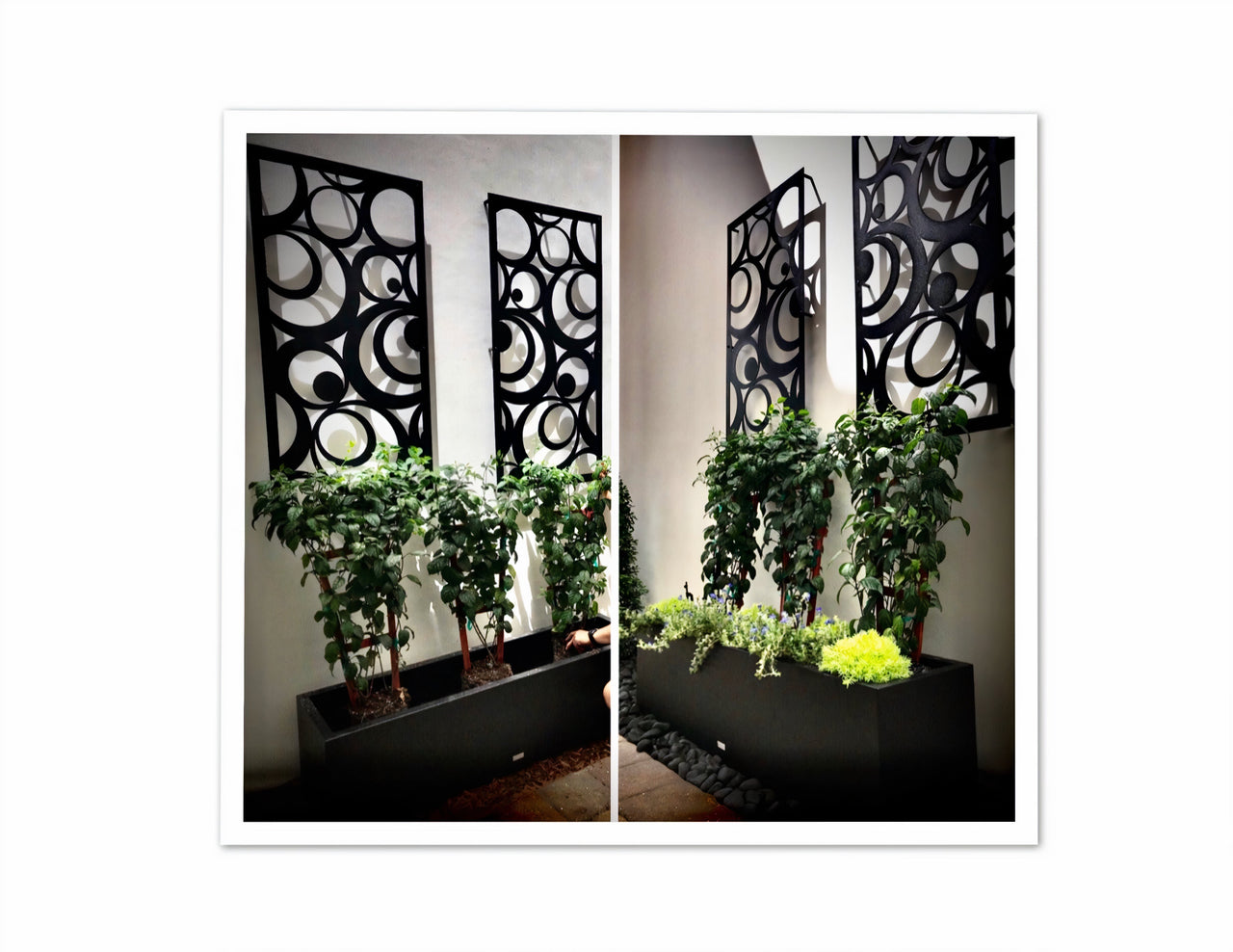 Decorative Metal Trellis