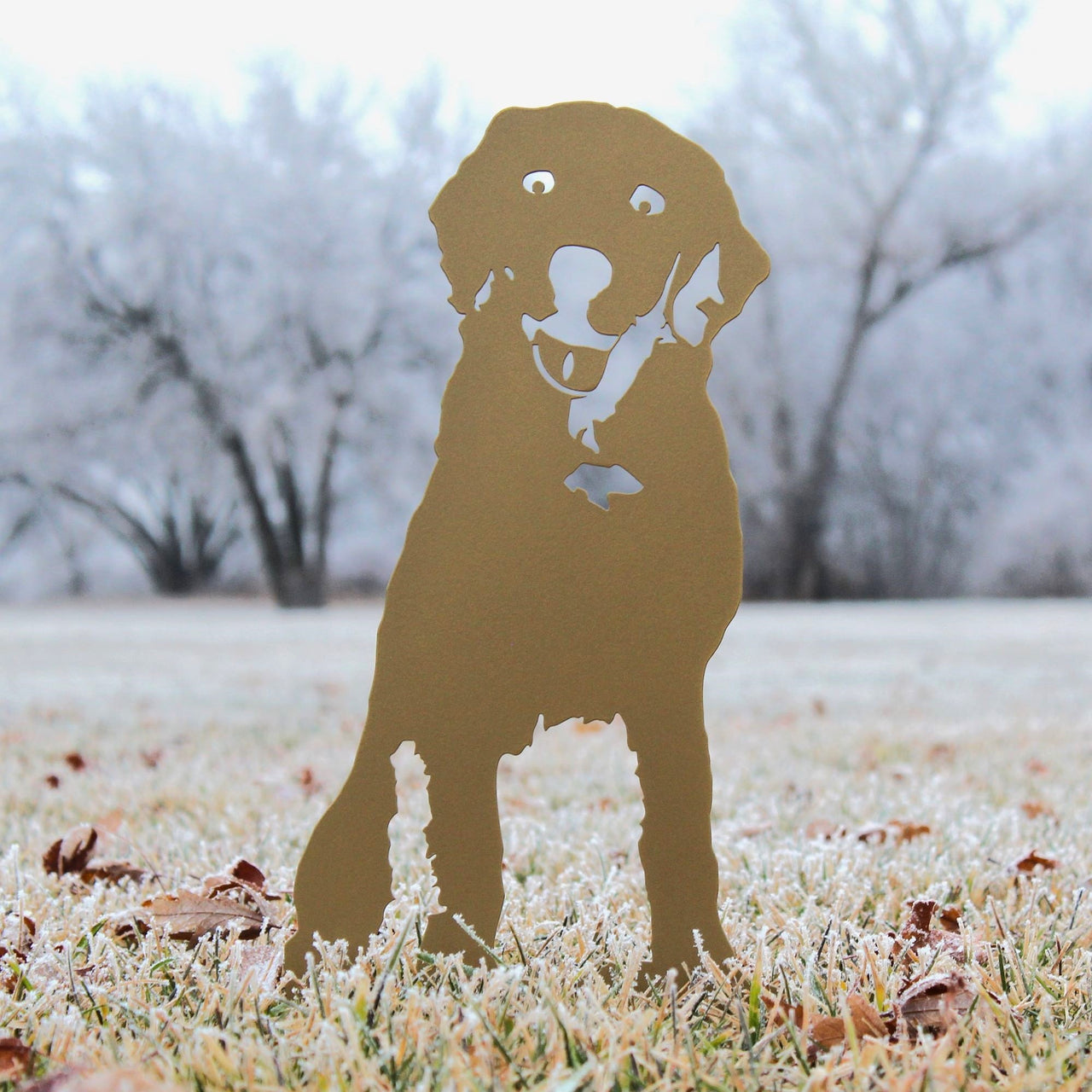 Special Edition *Gold* Labrador Retriever